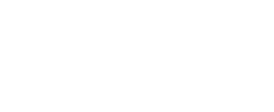 logo Standard 20 years